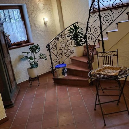 Appartamento Haus Marianne Hof bei Salzburg Esterno foto
